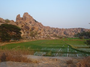 Hampi's boulders and rice-fields