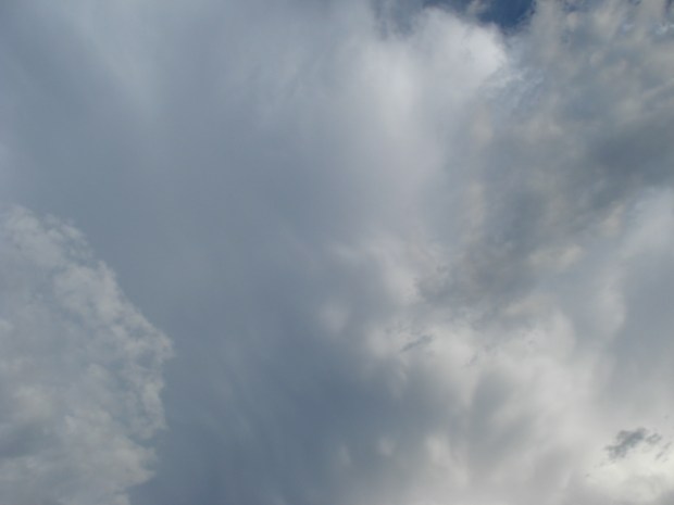 beechworth jan 11 017